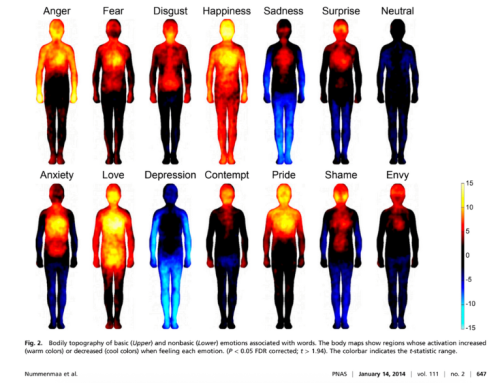 Emotions are data: Learning to read your inner world