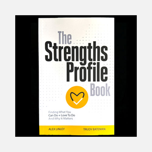 Strengths Profile Book (Alex Linley & Trudy Bateman)