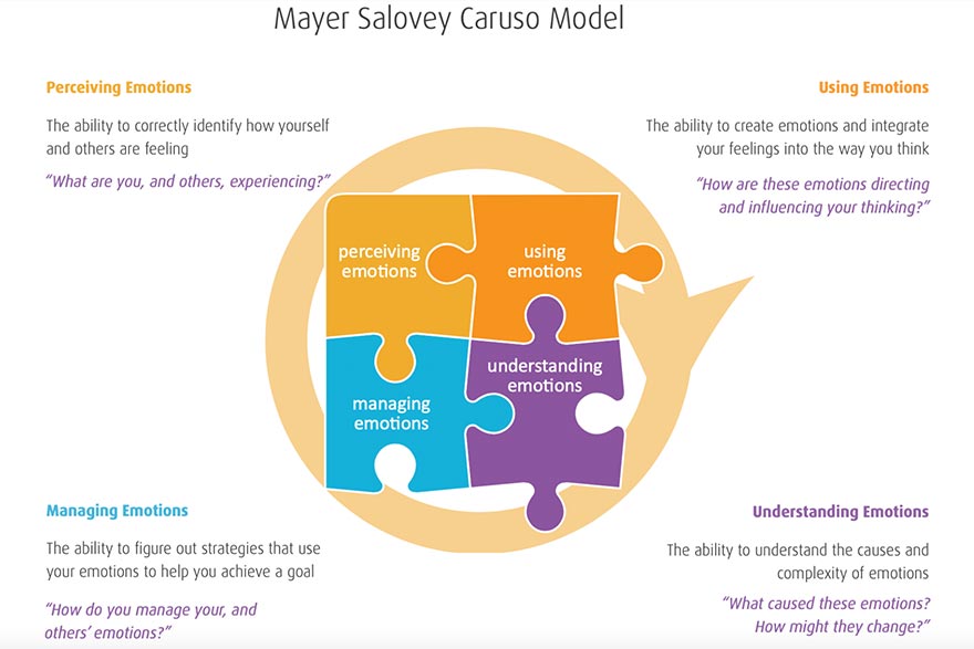 Дж майер. Методика Mayer-Salovey-Caruso Emotional Intelligence Test (MSCEIT) пример.
